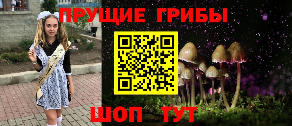 Галлюциногенные грибы ЛСД  Псилоцибиновые грибы Cubensis  Вход с VPN  Вятские Поляны 